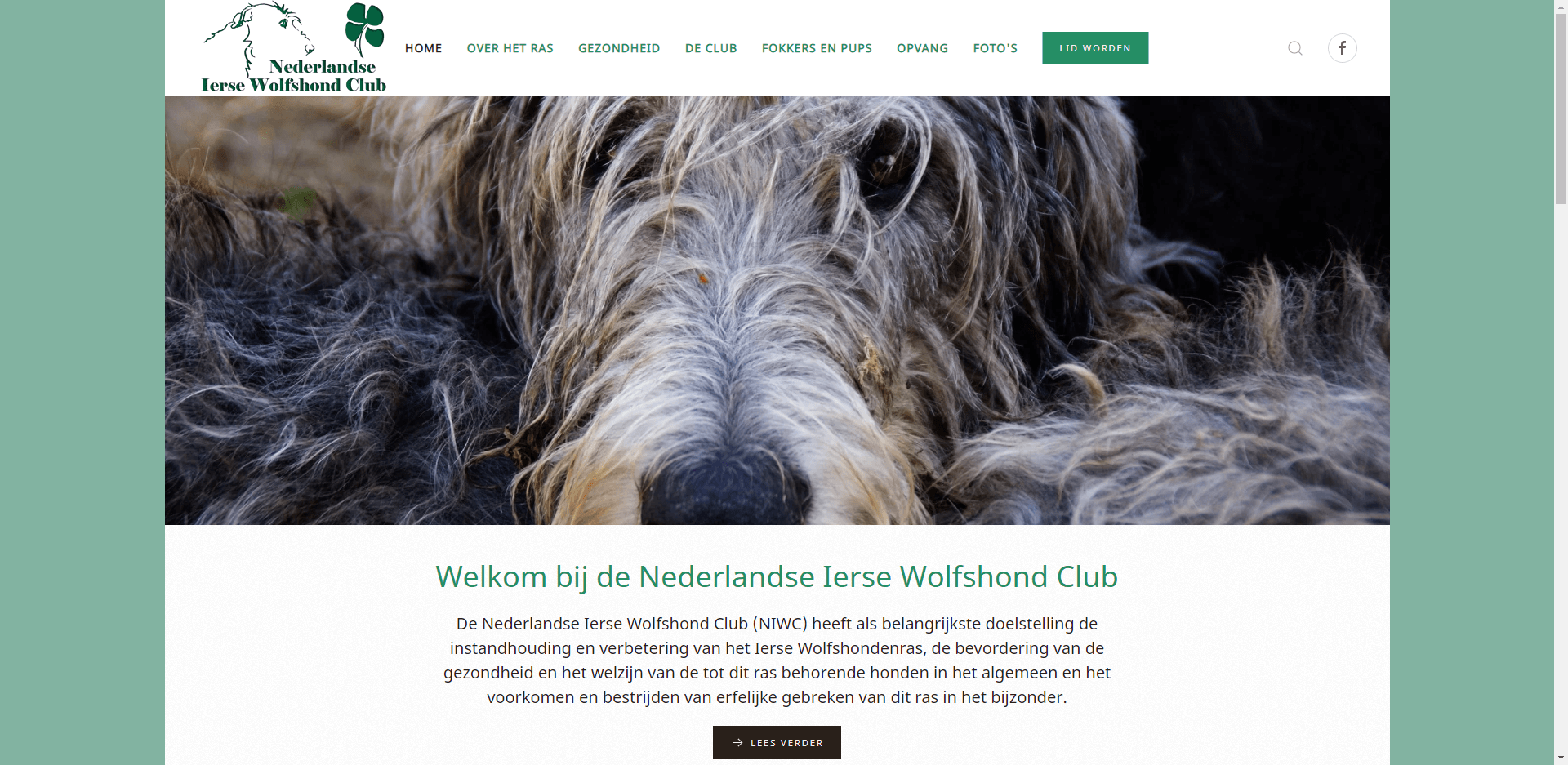 webdesign portfolio