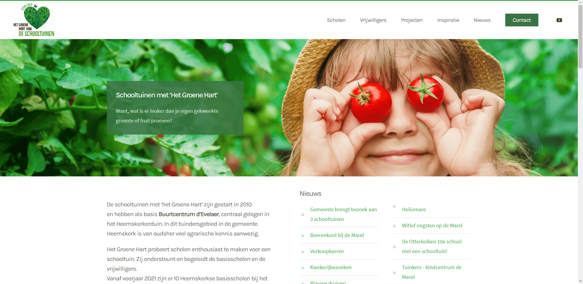 webdesign portfolio